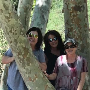 Meet your Posher, Nancy